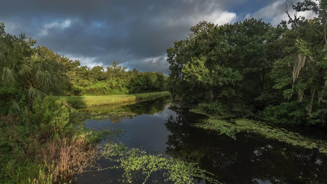 Sawgrass Lake Park