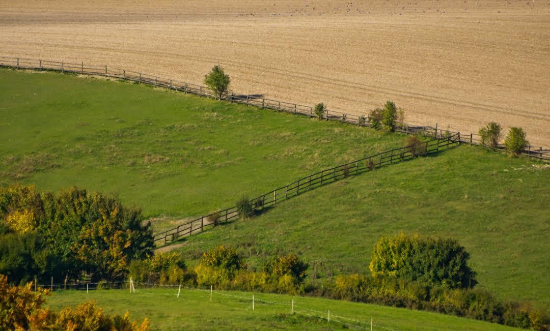 Dunstable Downs