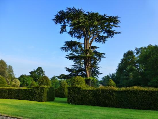 Cobham Hall