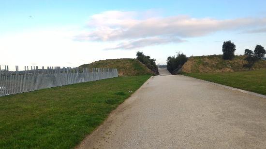 Barry Curtis Park