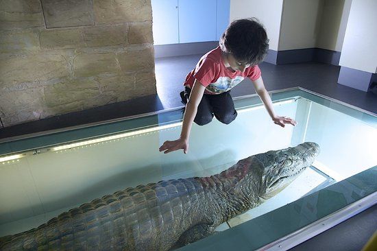 Wakefield Museum