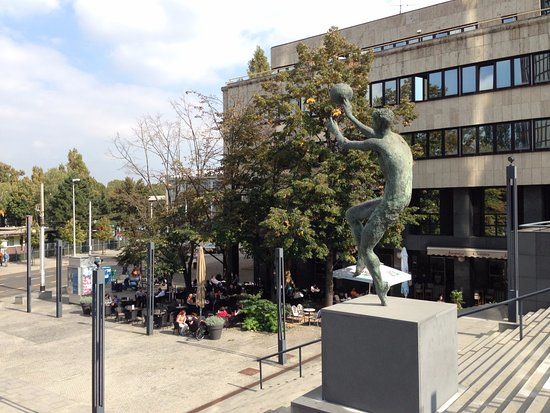 Drazen Petrovic Museum