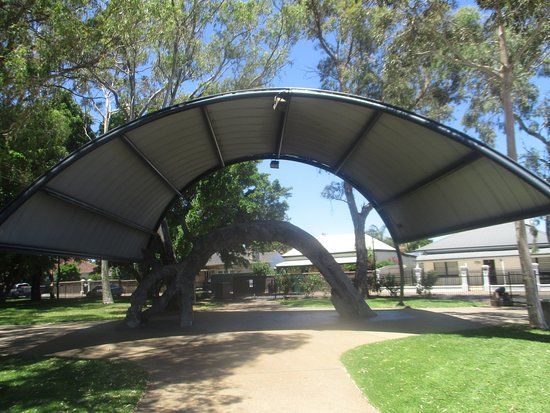 The Old Gum Tree