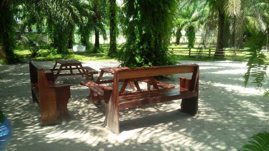 Lufasi Nature Park Lagos