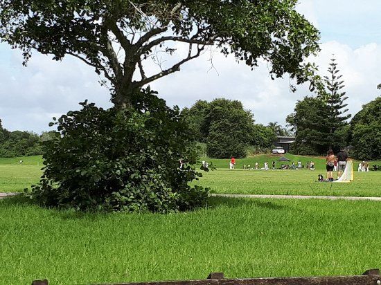 Lloyd Elsmore Park