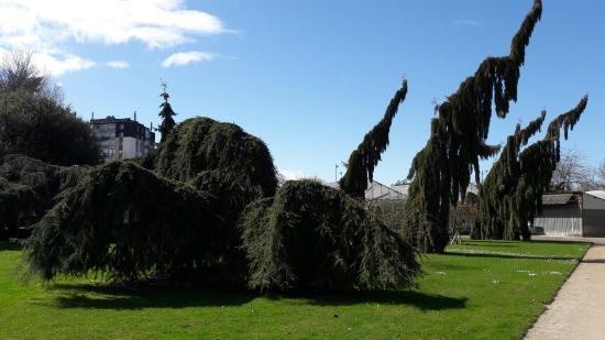 Botanical Garden