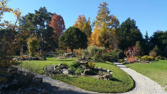 Jardin Botanique