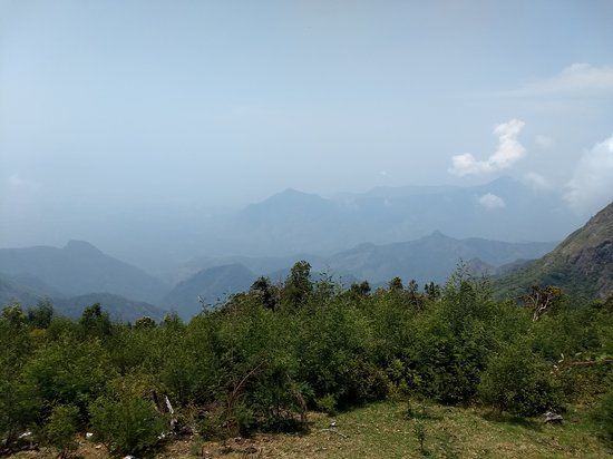 Moir Point