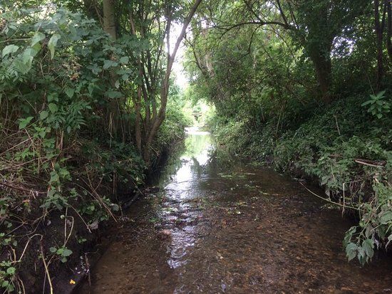 Berrylands Nature Reserve