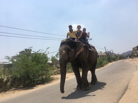Elephant Village