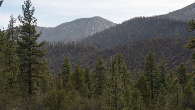 Aspen Glen Picnic Area