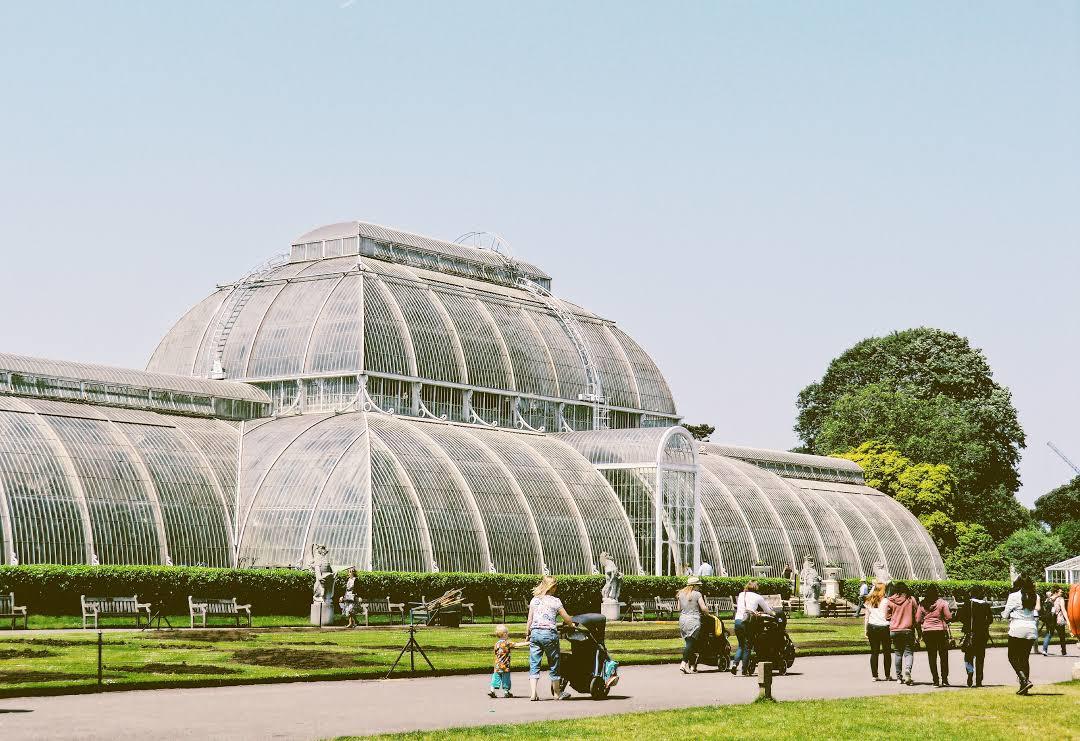Jardins Botânicos reais de Kew