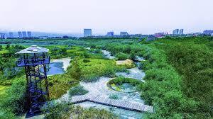 Estero de El Salado