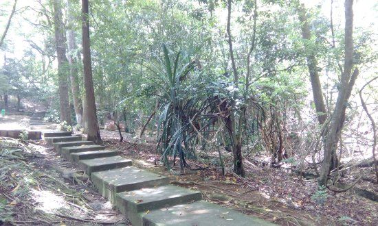 Botanical Garden