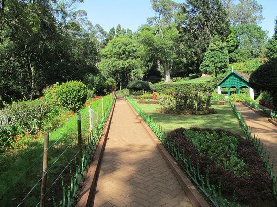 Sim's Park