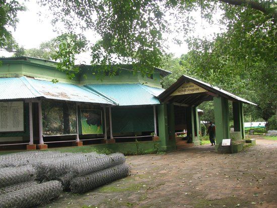 Bison Lodge Museum