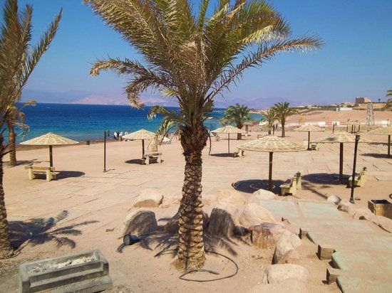 Aqaba Marine Park