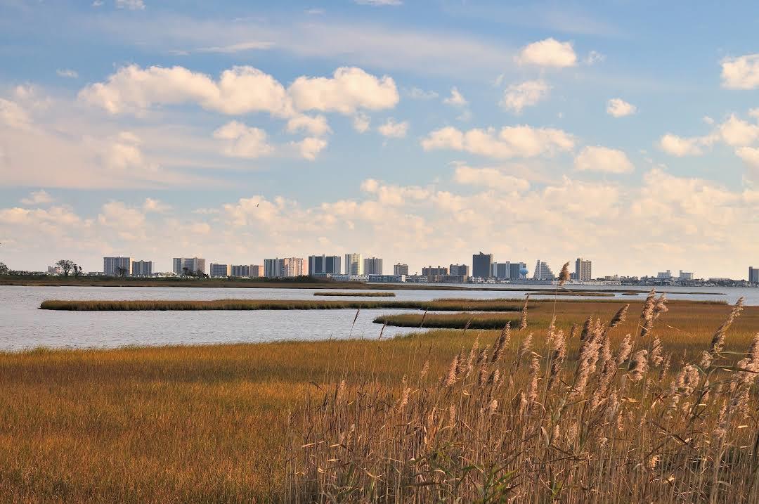 Assawoman Bay