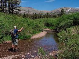 Upper Truckee River
