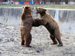 Parcul Zoologic