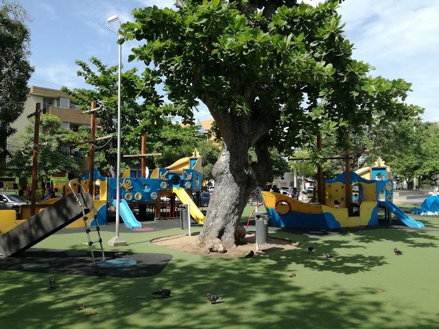 Suri Salcedo Park