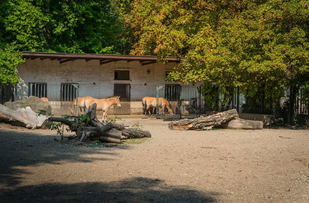 Zoo Leipzig