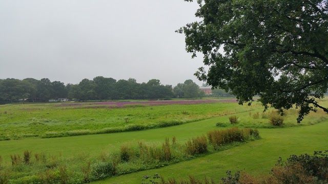 Damhusengen