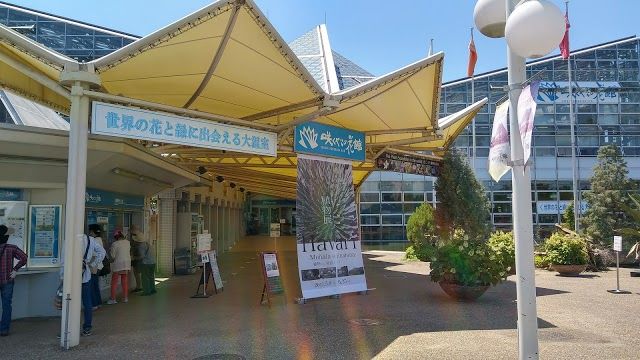 鶴見緑地プール