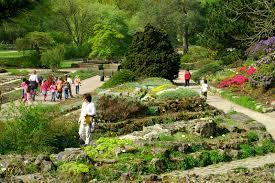 Botanischer Garten