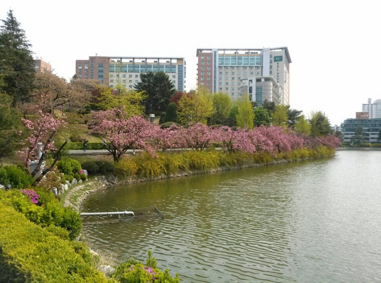Konkuk University Museum