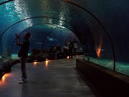 Oceanium
