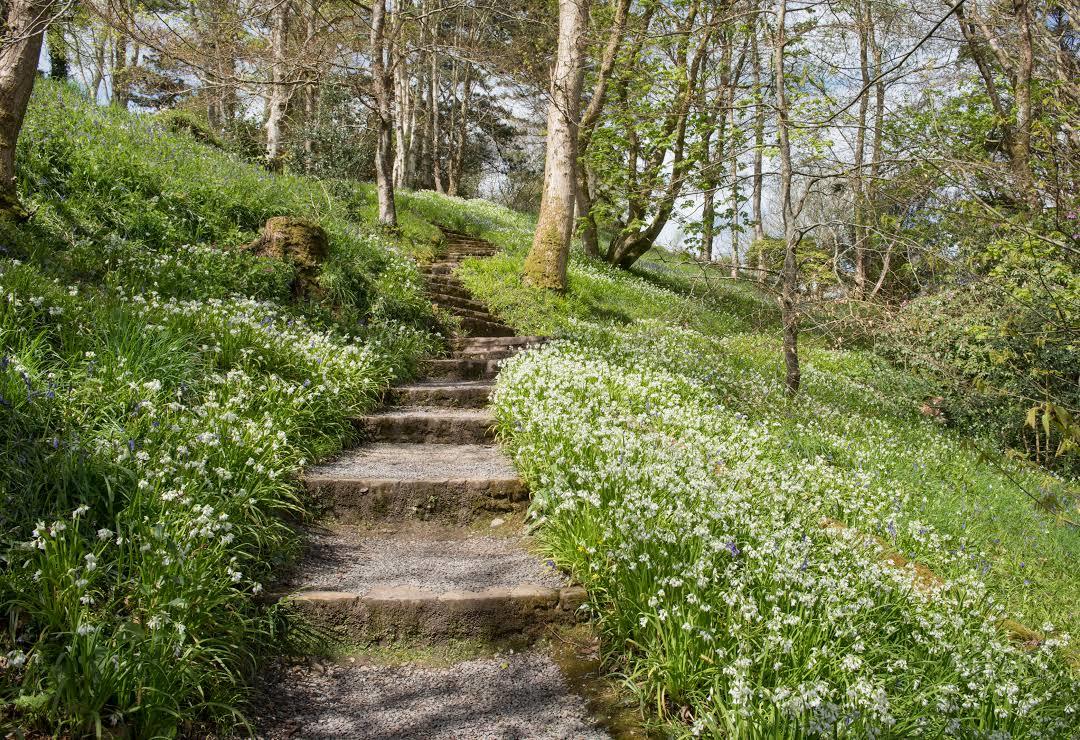 Coleton Fishacre