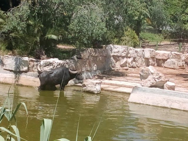 Zoo Tunis
