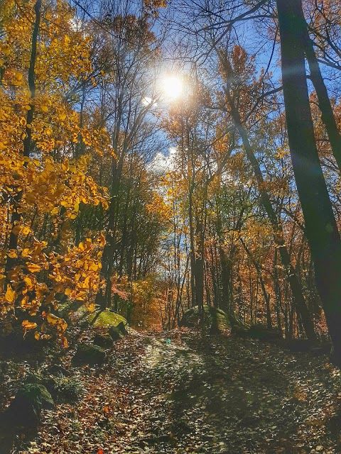 Depew Park