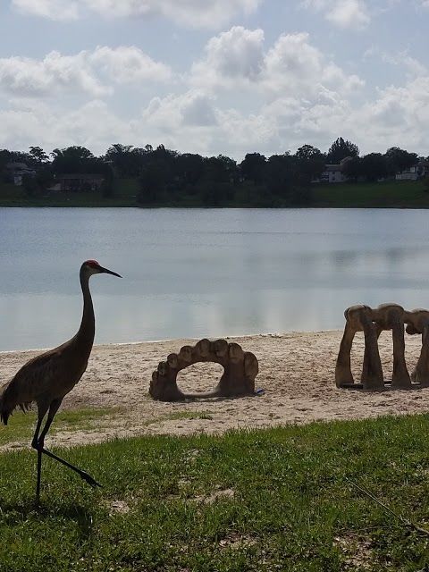 Donaldson Park