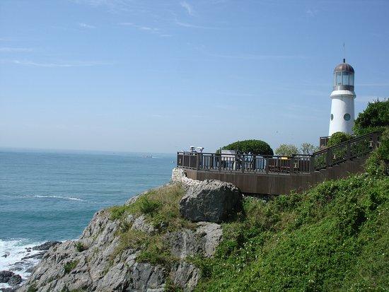 Dongbaekseom Island