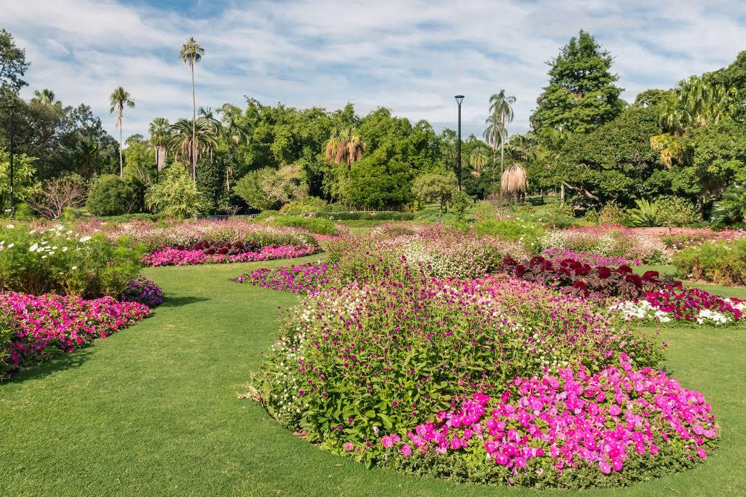 Brisbane City Botanic Gardens