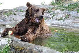 Varna city zoo