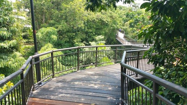 Kent Ridge Şehir Parkı