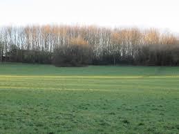 Fryent Country Park