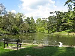 Museum in the Park