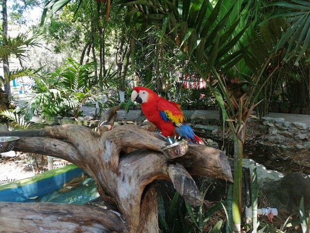 Zoo Payo Obispo