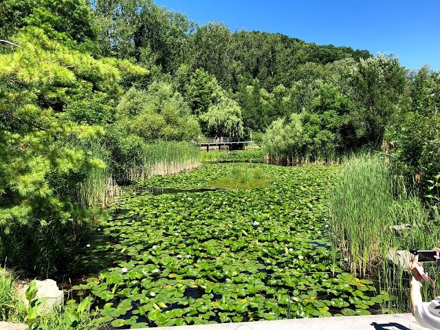 Taylor Creek Park
