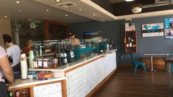 Bird Rock Coffee Roasters
