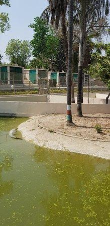 Sarnath Zoo