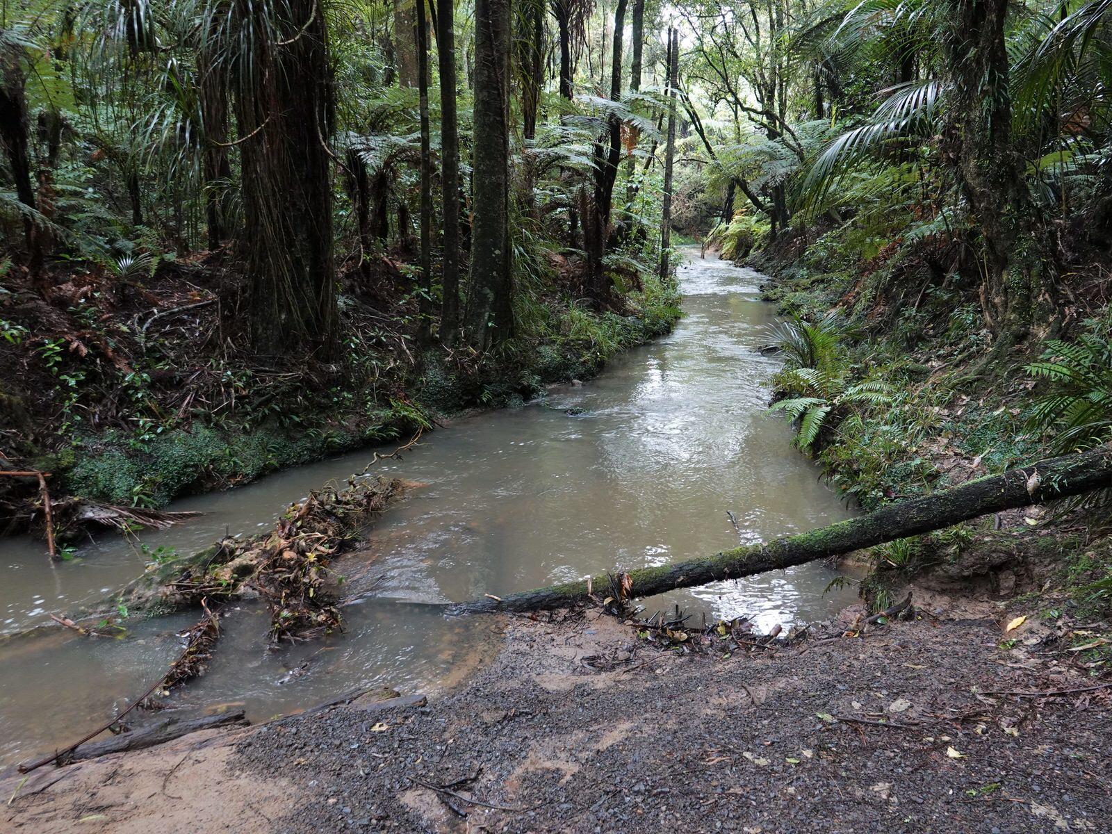 Totara Park