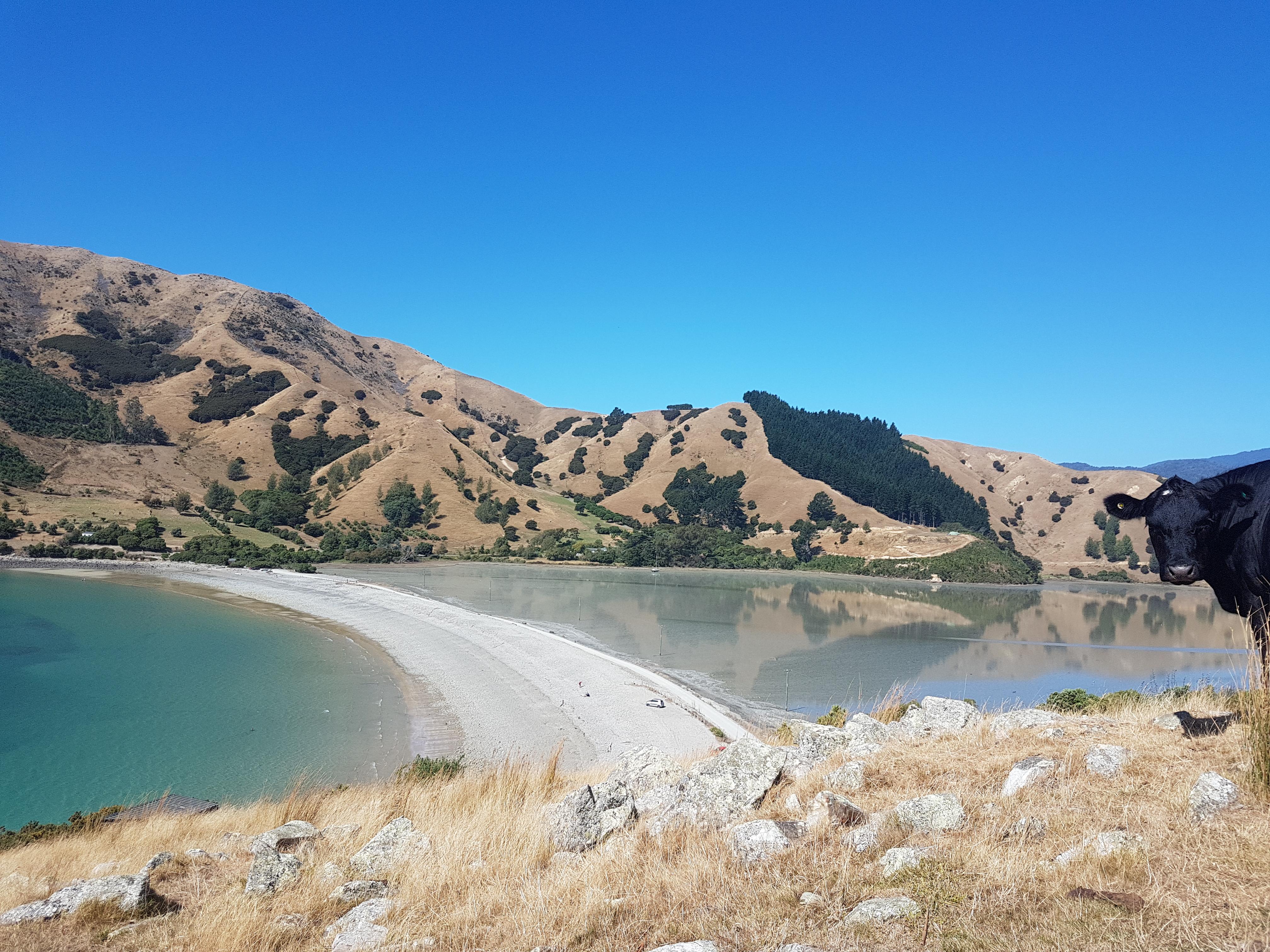 Cable Bay
