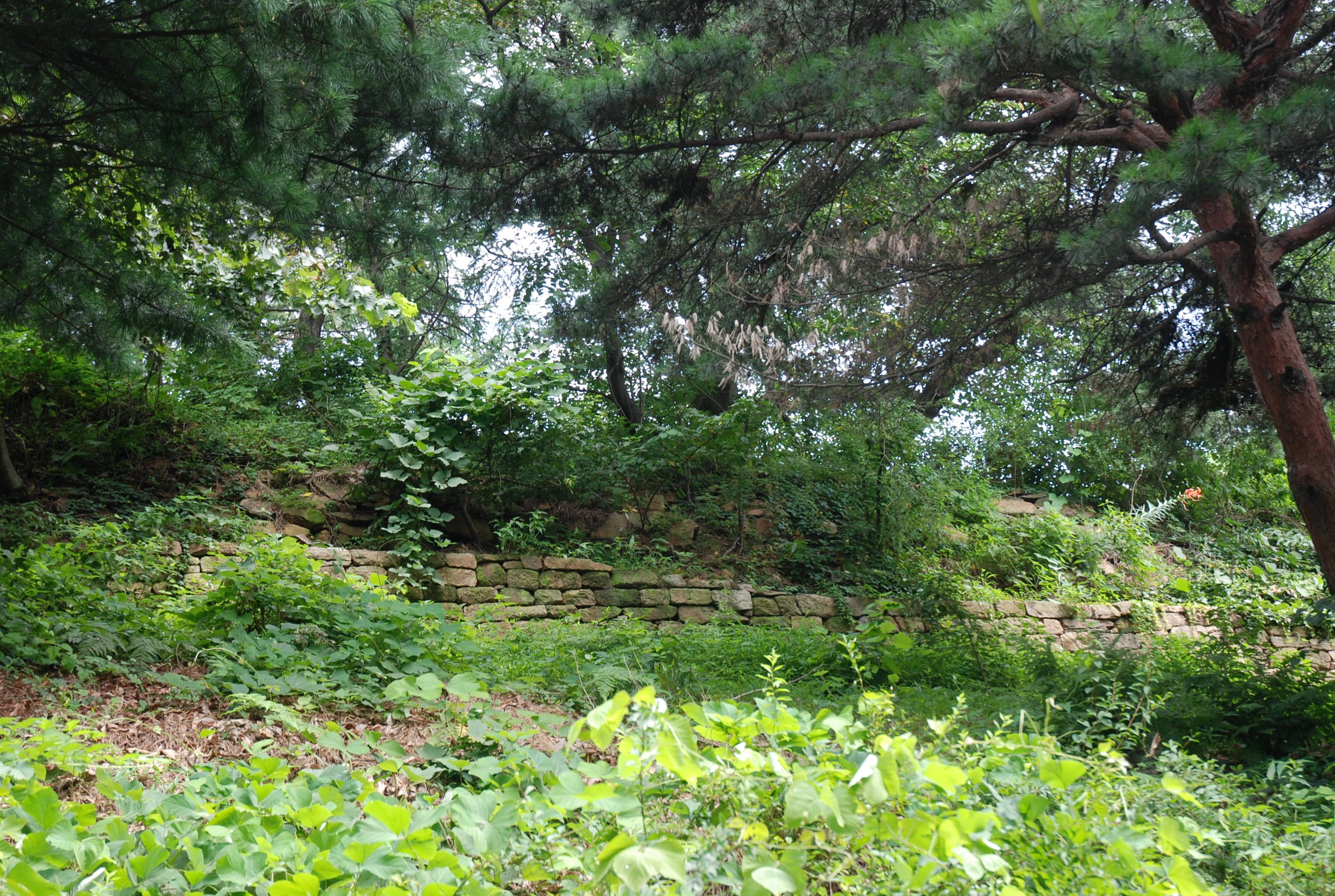 峨嵯山城