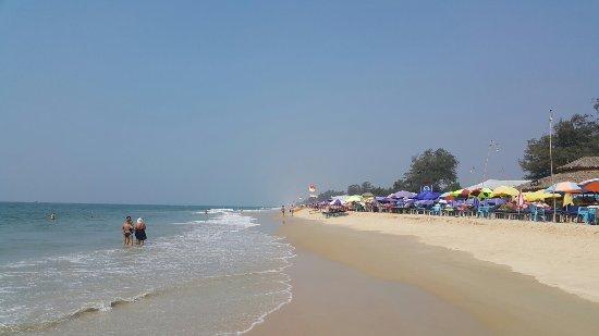 Benaulim Beach