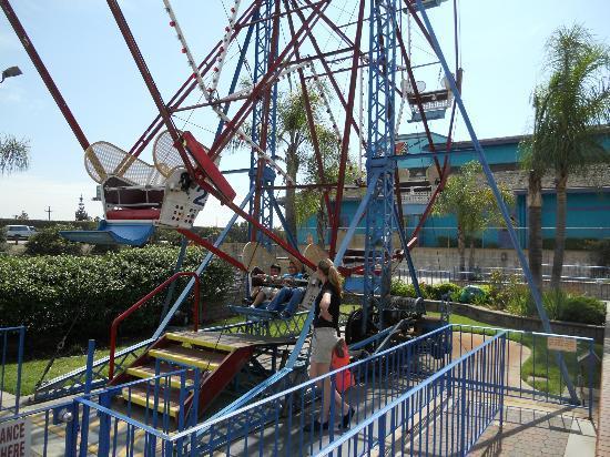 Boomers Upland